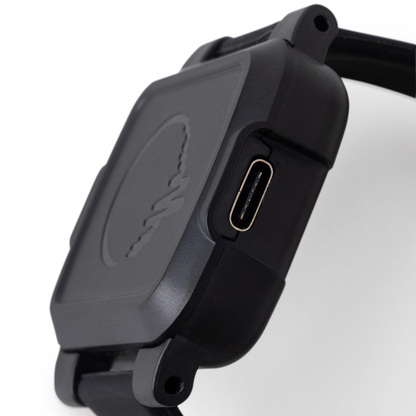 BeechBand 100D
